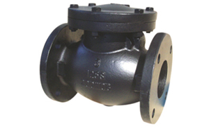 Flanged Swing Check Valve