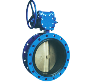 Flanged Butterfly Valve - Concentric Disc