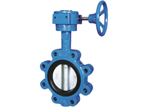 Lug Type Butterfly Valve
