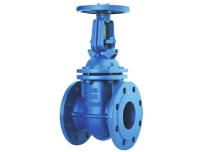 Metal Seated Gate Valve - Rising Stem (DIN F4)