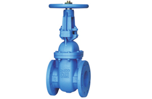 Metal Seated Gate Valve - Rising Stem (BS 5163)