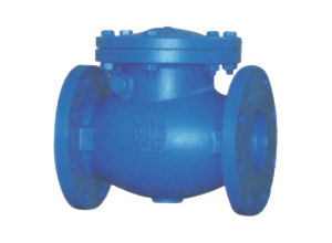 Flanged Swing Check Valve