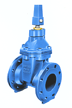 Resilient Seated Gate Valve