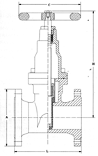 Resilient Seated Gate Valve image 3