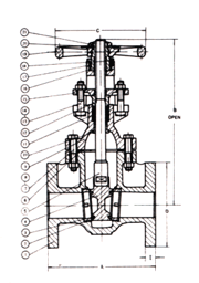 ANSI Cast Iron Gate Valve · Rising Stem image 2