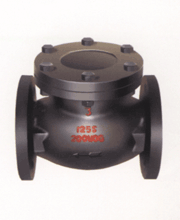 ANSI Cast Iron Swing Check Valve