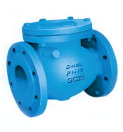 BS Cast Iron Swing Check Valve · PN16