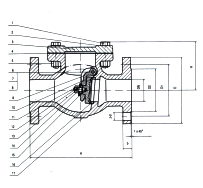 BS Cast Iron Swing Check Valve · PN16 image 2