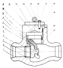 Cast Steel Pressure Seal Swing Check Valve