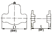 Cast Steel Pressure Seal Swing Check Valve image 2