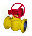 Top Entry Plug Valve