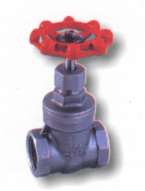 Stainless Steel Gate Valve