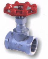 Stainless Steel Globe Valve