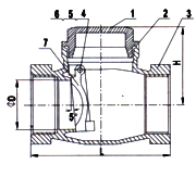 Stainless Steel Swing Check Valve image 2