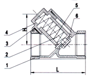 Stainless Steel Y-Spring Check Valve image 2